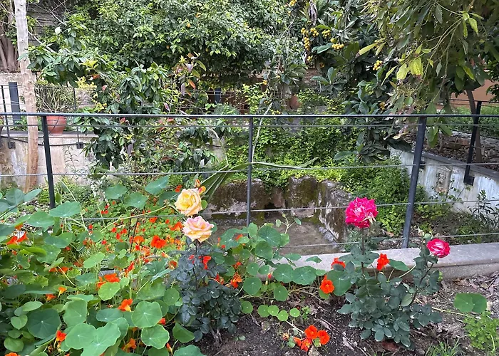 Vasilion Agrotourism